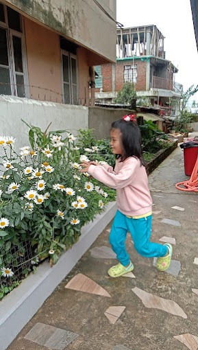 Angel Guest House Shillong Side Image 1