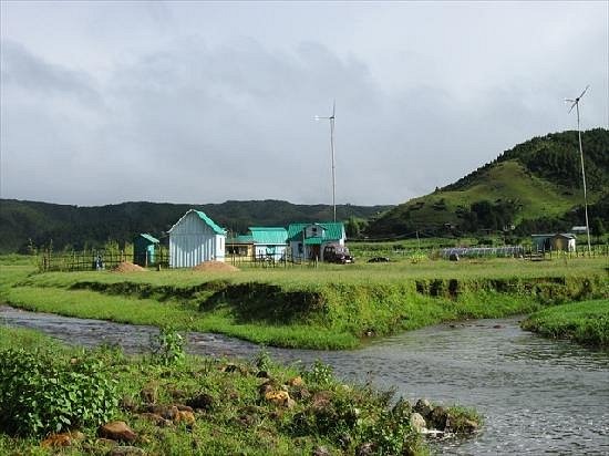 Maple Pine Farm Bed and Breakfast Shillong